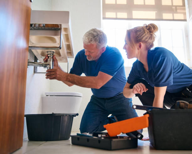 Best Clogged Drain Plumber  in Pekin, IL